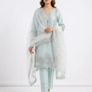 Mint Green Fully Embroidered Suit
